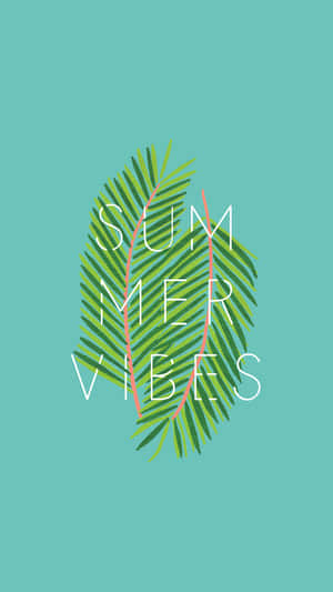 棕櫚葉圖形，帶有 summer vibes 文字，背景為青色。
