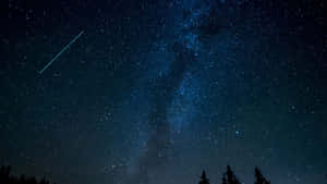 黑暗的天空，銀河與流星在樹影之上 — 星星 壁紙