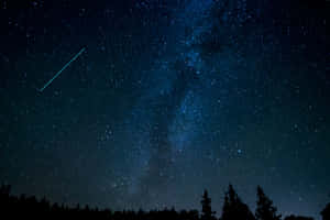 流星劃過森林剪影的星空夜晚 — 星空夜 壁紙