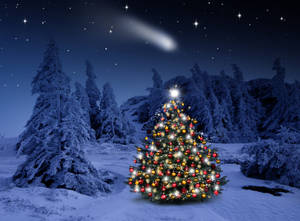 雪地森林中裝飾的聖誕樹，夜晚有星星和彗星。
