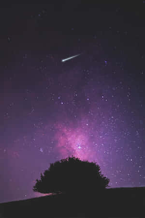 在帶有流星的紫色星空下的樹影。