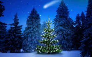 夜晚雪地森林中，一棵亮燈的聖誕樹，伴隨著星星和流星。 — 森林 壁紙