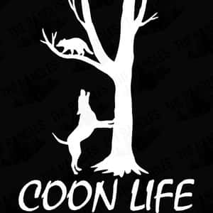 一隻狗伸向樹上的浣熊，附有文字 coon life