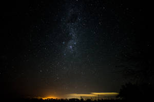 星空夜空，銀河在樹木剪影和遙遠的地平線光芒之上。