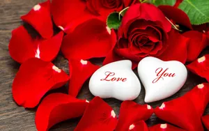 兩塊白色心形石頭帶有「Love You」文字,被紅色玫瑰花瓣包圍在木頭上。