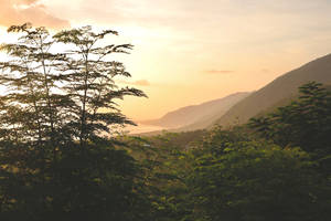 夕陽映照山脊，襯以樹木剪影 — 日落大道 壁紙