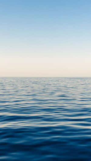 平靜的海洋在地平線與柔和的黎明天空相遇