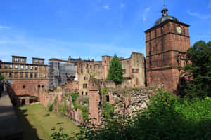 藍天下，古老城堡遺址，綠意盎然，鐘樓聳立。 — 城堡 壁紙