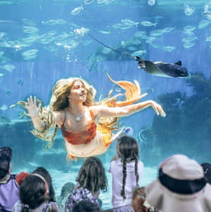 孩子們觀看美人魚與魚群和魔鬼魚一起在水下游泳。