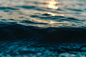 海洋波浪反射金色陽光，帶有深藍色調