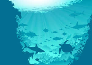 鯊魚和海龜在珊瑚礁附近的陽光海水中游泳的剪影。