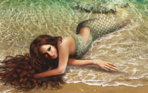 一位長著棕色長髮的美人魚躺在沙灘的淺海水中。