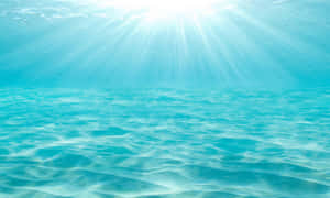 陽光穿過清澈的藍色海水，照射在沙質海底上。
