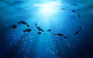 鯊魚和魚在從上方陽光照射的深藍色海洋中游動。