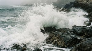 在霧氣中，海浪拍打著黑色岩石。