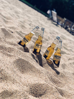 四支Corona啤酒瓶插在溫暖的沙灘沙中，陽光燦爛。
