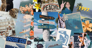 復古旅行拼貼， featuring 衝浪者、棕櫚樹和熱帶標誌。