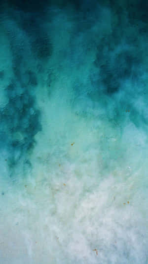 碧綠海水流過沙質海底，伴有海藻。