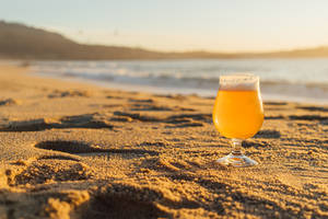 沙灘上的啤酒杯，金色夕陽與海浪