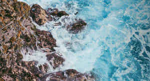綠松石色的海浪拍打長滿苔蘚的海岸岩石的空中視角，附有勵志文字。