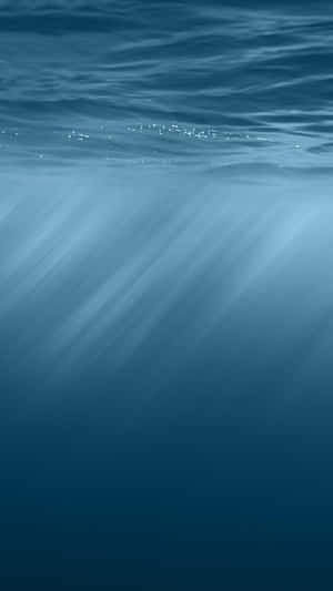 陽光透過海面照射到水下