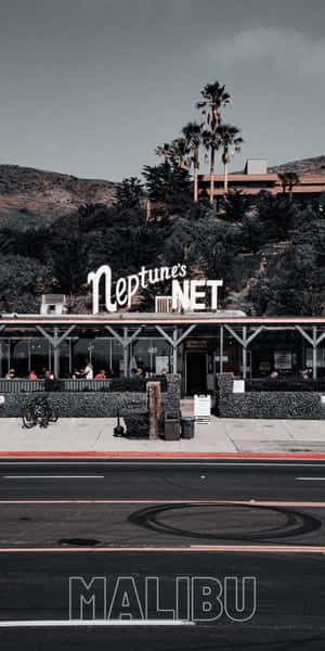Neptune's Net 餐廳位於沿海街道，背景有棕櫚樹和山丘。