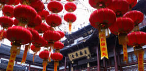 紅色燈籠和金色橫幅裝飾著傳統中式寺廟的入口。