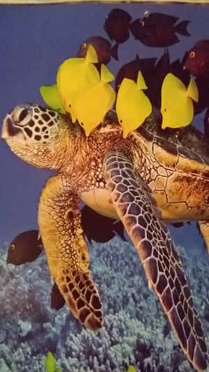 海龜與黃色和深色魚兒在珊瑚礁附近游泳