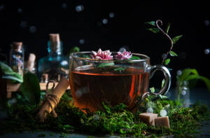 一個玻璃茶杯，在陰暗環境中放在苔蘚上，有花茶和糖 — 青綠色 GIF 壁紙