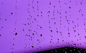 窗戶上的雨滴，夜晚的紫色天空。 — 淺紫色動態圖片 壁紙