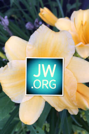 黃色萱草花瓣上疊加JW.ORG標誌。 — 凌志標誌 GIF 壁紙