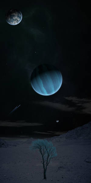 外星行星上的一棵孤樹，天空中有兩顆行星和一顆流星。