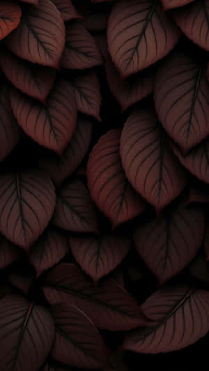 深酒紅色葉片帶黑色葉脈在黑色背景上重疊的密集圖案