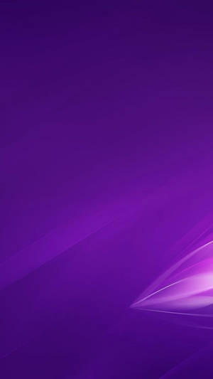 右下角帶有發光光線條紋的抽象紫色漸變。