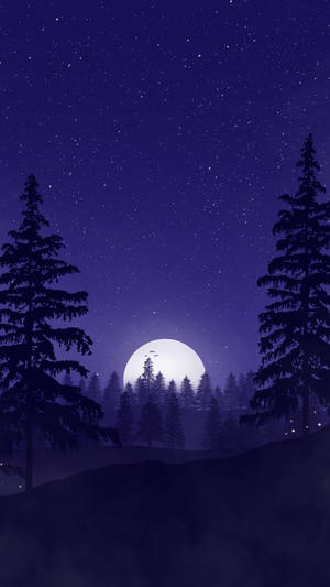 滿月在松樹後升起，背景是繁星點點的夜空。 — 森林 壁紙