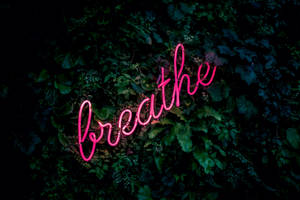 粉紅色霓虹燈牌寫著 breathe，夜晚被深綠色樹葉包圍。