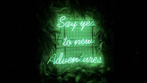 綠色霓虹燈牌寫著「Say yes to new Adventures」，在黑暗中由蕨類植物包圍。