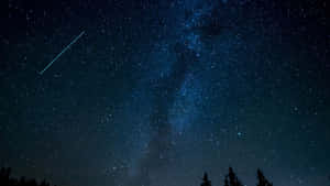 黑暗的松樹剪影映襯著星空，銀河與流星。