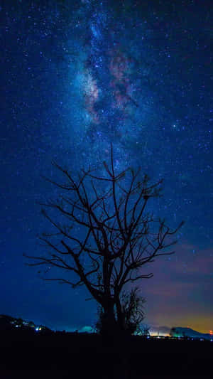 在星空夜空下，樹木剪影，銀河可見。