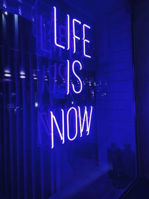 夜間玻璃店面上一塊寫著「LIFE IS NOW」的藍色霓虹燈牌。