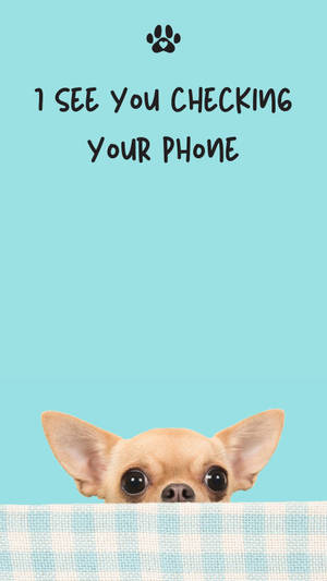 芝娃娃從毛氈上探頭，附有文字「I SEE YOU CHECKING YOUR PHONE」