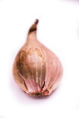 一個乾燥的紅蔥頭，外皮破裂呈紙質，放在白色表面上。