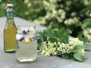 一杯接骨木花飲品加冰和花，旁邊有瓶子和新鮮花朵。 — 4:3 壁紙