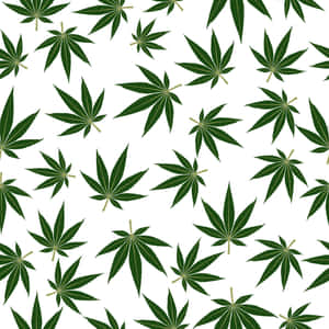 白色背景上重複的大麻葉圖案