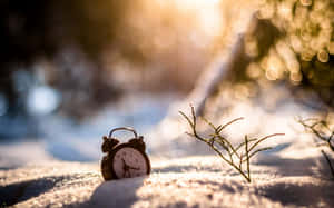 雪中的復古鬧鐘，金色陽光穿過樹木