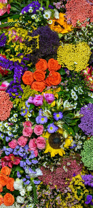 密集排列的色彩繽紛花朵，包括玫瑰、向日葵和雛菊。 — 1440x3200 壁紙