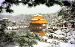 雪中的金色寺廟，松樹和池塘倒影