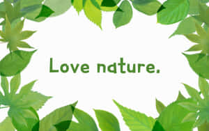 綠葉在白色背景上框住「Love nature」這句話。