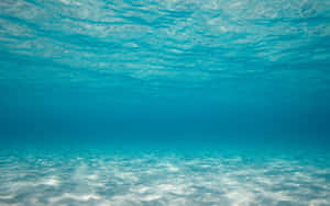 沙質海底的水下景觀，陽光穿過清澈的藍色海水。 — 海洋 壁紙