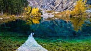 寧靜的高山湖泊在清澈的秋光中反射出金色的樹木和岩石峭壁。 — 湖景 壁紙
